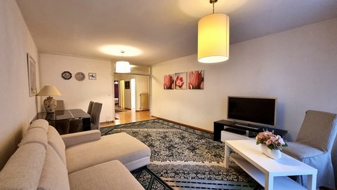 Séjour accès Terrasse