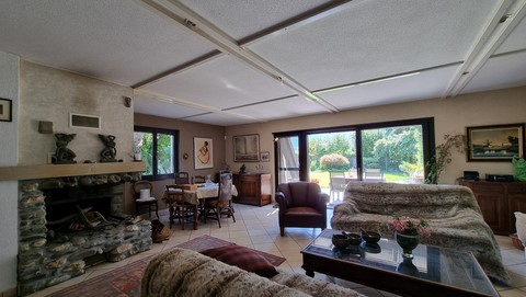 Séjour avec Cheminée