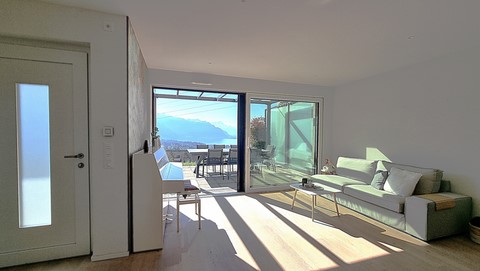 Villa Jongny Séjour