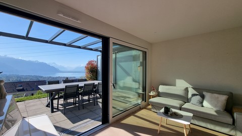 Villa Jongny Séjour et Terrasse
