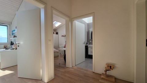 Villa Jongny Dégagement