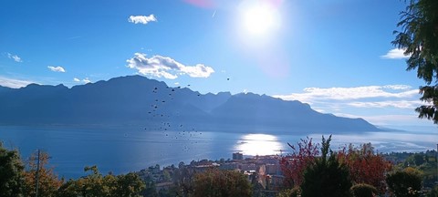 Vue Lac Villa Montreux