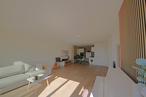 Villa Jongny Séjour