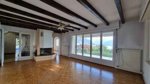 Séjour avec Cheminée